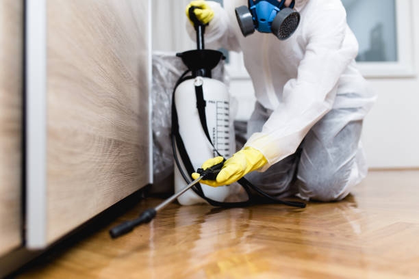 Best Termite Control Services  in Fate, TX