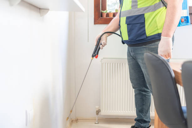 Best Flea Control Services  in Fate, TX