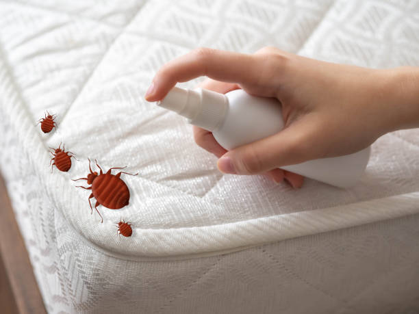 Pest Control Cost in Fate, TX